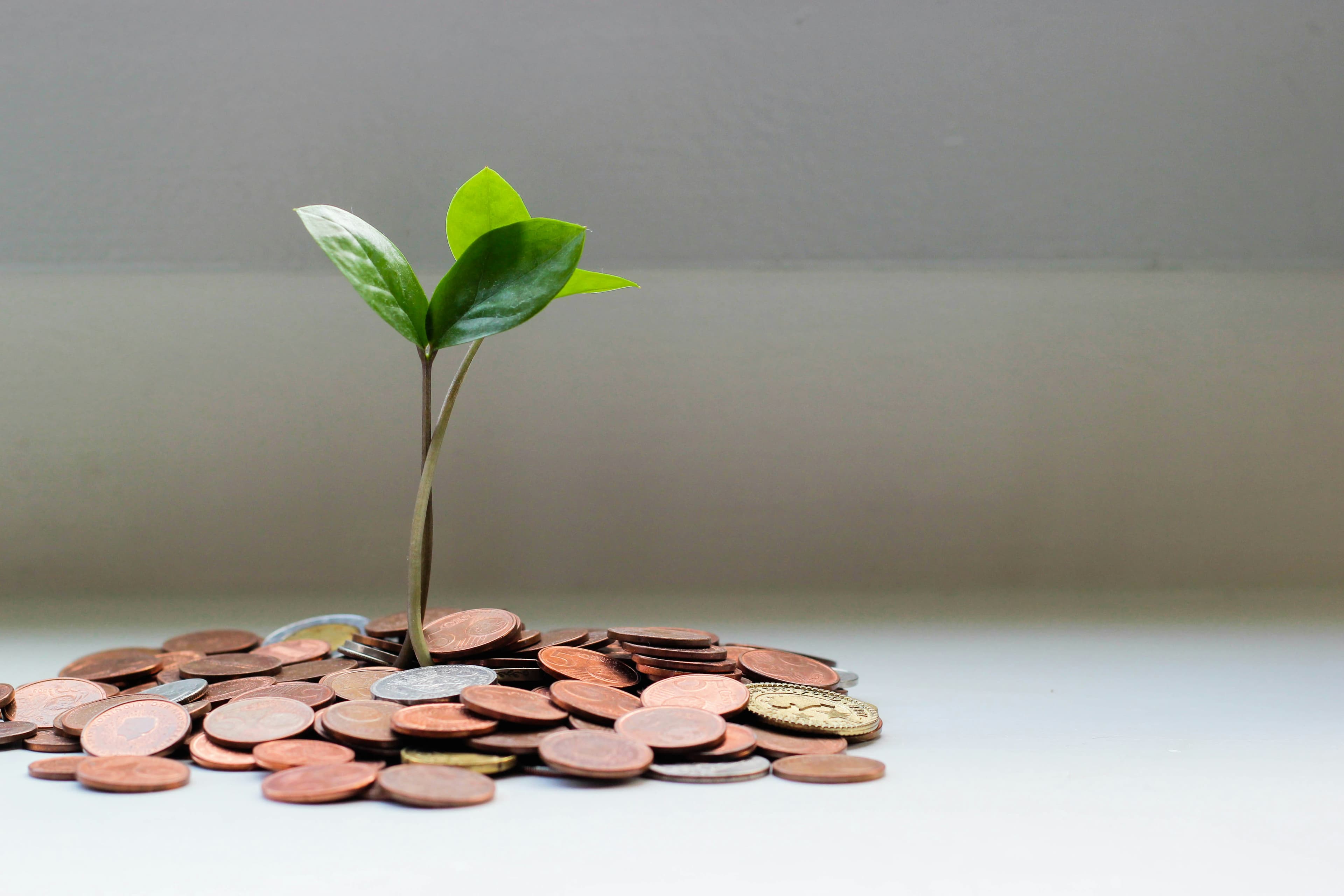 What KYC Verification Requirements Must Your Fintech App Meet?